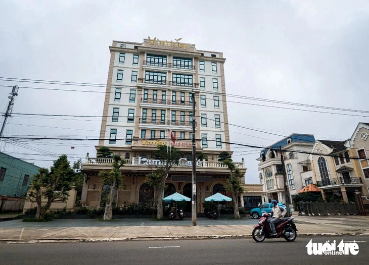 Xây dựng viện nghiên cứu và phát triển cà phê AI tại Gia Lai - Ảnh 2.