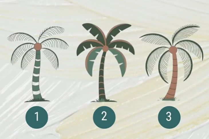 Quiz: Bạn tư duy bán cầu trái hay bán cầu phải nhiều hơn? - Ảnh 1.