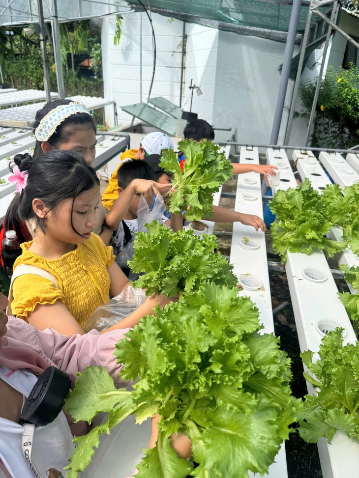 Lội sình bắt cá, tập trồng cây - niềm vui ngày hè đến với con công nhân khu trọ và thiếu nhi khu phố - Ảnh 2.