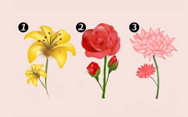 Quiz: Bạn là người quyết đoán? - Ảnh 2.