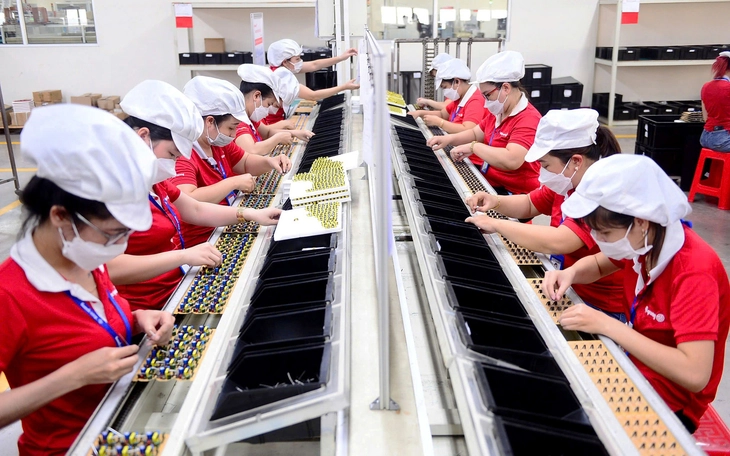 Phó chủ tịch tỉnh Ninh Bình: 'Doanh nghiệp tự tin lên, hội nhập quốc tế rồi, ngoại ngữ cũng phải giỏi' - Ảnh 2.