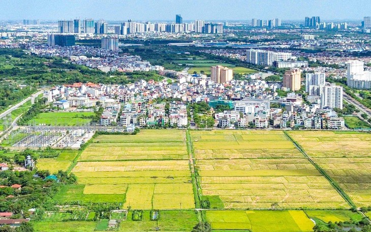 Ủy ban Thường vụ Quốc hội cho ý kiến sửa Luật Đất đai, dự Luật Phát triển đô thị - Ảnh 2.
