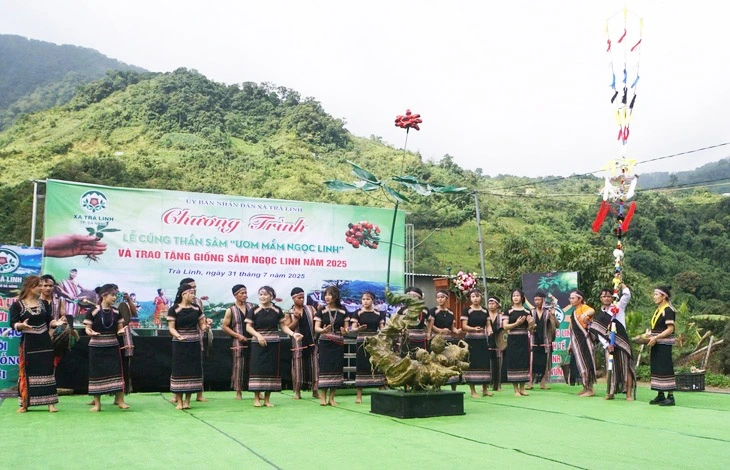 Xã vùng lõi sâm Ngọc Linh kêu gọi góp cây giống cho hộ khó khăn - Ảnh 3.