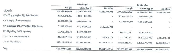 Công ty bất động sản rót 660 tỉ vào chứng khoán, tạm lãi lớn với VHM và HPG - Ảnh 2.