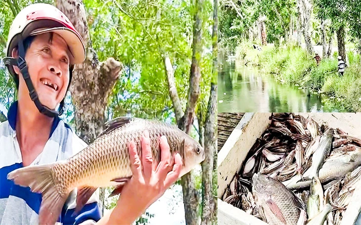 Mở cống, điều tiết nước, chống ngập úng Vườn quốc gia U Minh Thượng: Dân săn ốc bươu đen, cá đồng ra kênh - Ảnh 2.