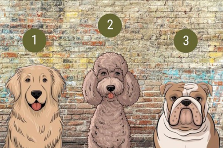 Quiz: Bạn hòa đồng, thân thiện hay điềm tĩnh, tự tin? - Ảnh 1.