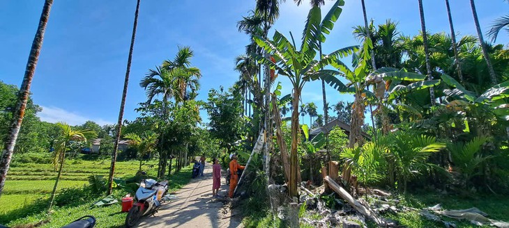 Xóa vùng 'lõm điện' ở thôn Lâm Bình Phương - Ảnh 1.