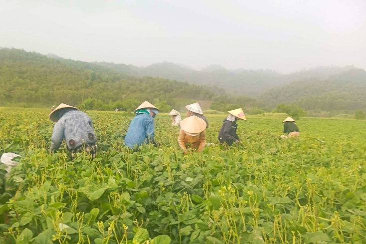 Tinh thần đoàn kết của phụ nữ thôn Đá Nổi giúp hội viên mắc ung thư vượt khó - Ảnh 1.