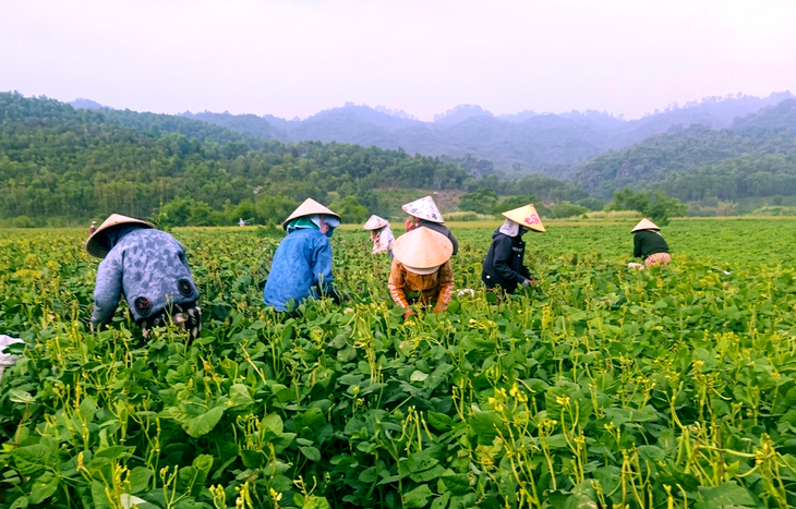 Tinh thần đoàn kết của phụ nữ thôn Đá Nổi giúp hội viên mắc ung thư vượt khó - Ảnh 1.