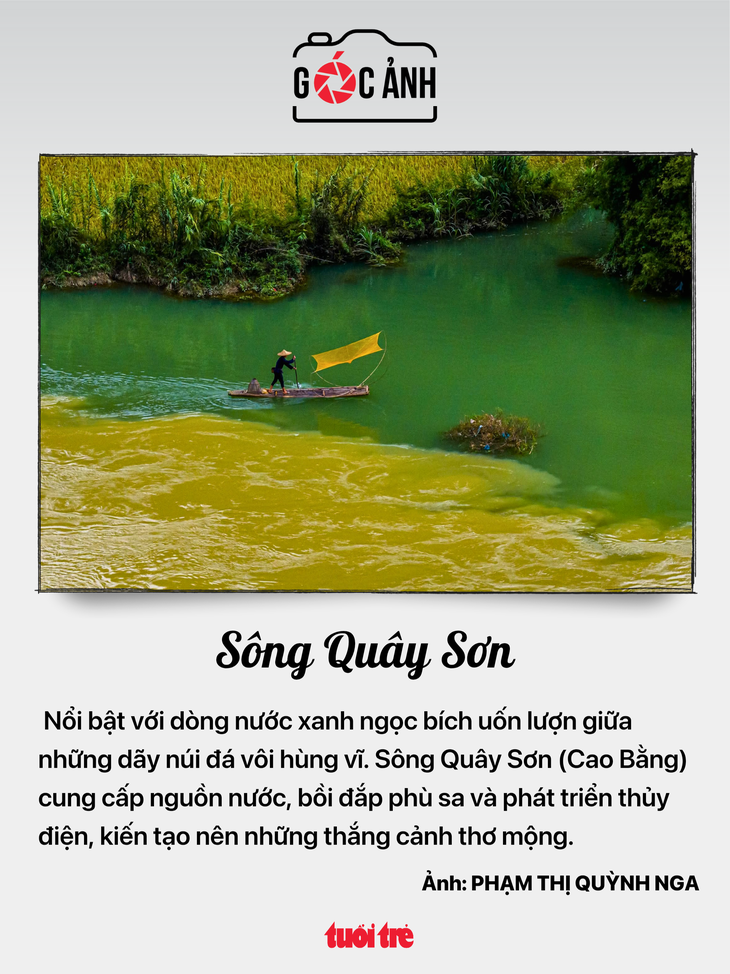 TP.HCM tăng kiểm soát bán hàng đa cấp; Đổi mới quản lý chất lượng giáo dục - Ảnh 4.