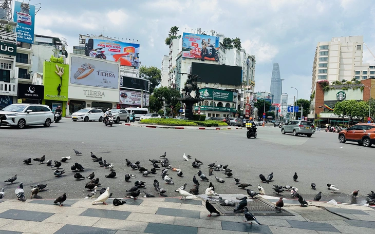 Điều quý nhất của thành phố này là người lạ - Ảnh 2.