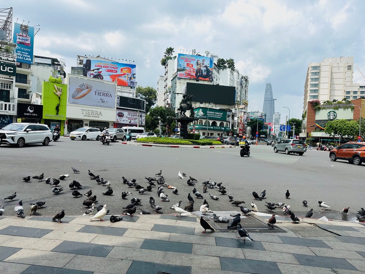 Thành phố là nơi trở về - Ảnh 2.