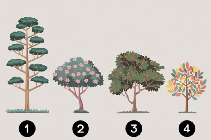 Quiz: Bạn đang ở giai đoạn nào trong cuộc đời? - Ảnh 1.