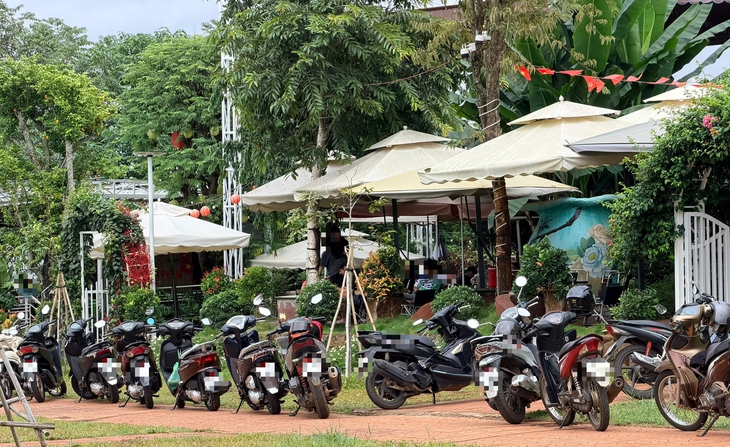 Làn xe máy thành 'bãi đỗ' ô tô trên đại lộ ngàn tỉ - Ảnh
3.