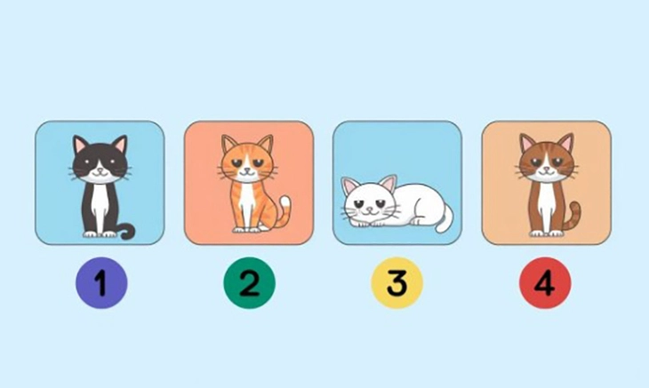Quiz: Bạn là người năng động hay thụ động? - Ảnh 1.