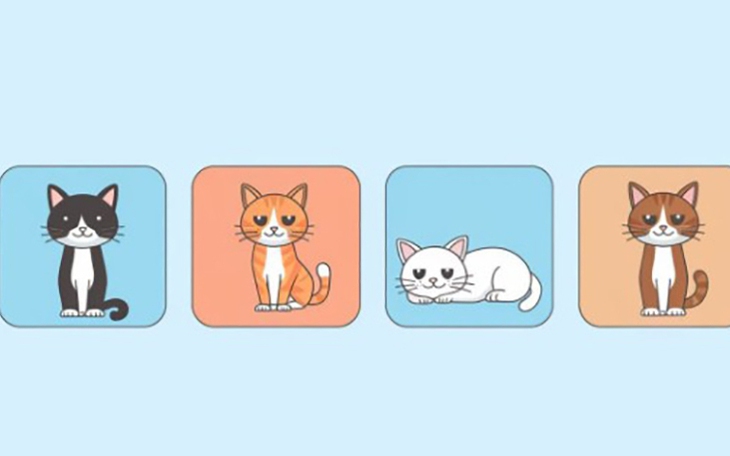 Quiz: Bạn sở hữu trí thông minh nào? - Ảnh 2.