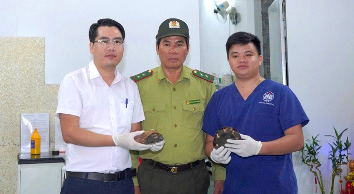 Người dân đem rùa quý hiếm đến chữa bệnh, bác sĩ thú y cứu con vật rồi vận động giao nộp cho kiểm lâm - Ảnh 1.