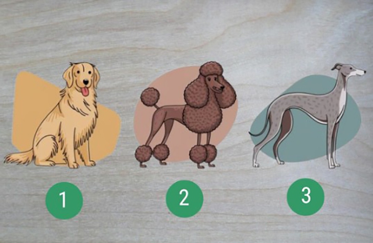 Quiz: Bạn nổi bật với tố chất lãnh đạo bẩm sinh? - Ảnh 1.