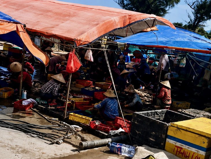Cung đường ven biển đẹp nhất Phú Yên bị 'bức tử' bởi sơ chế mực xà - Ảnh 4.