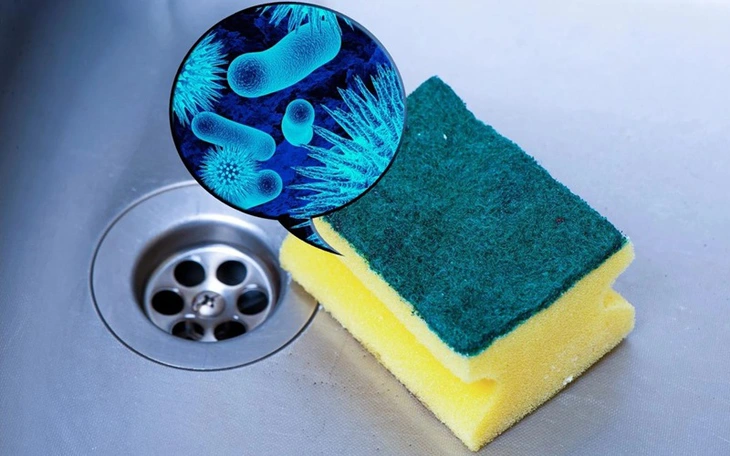 Mùa hè đi biển ăn hàu sống, cẩn thận "vi khuẩn ăn thịt người - Ảnh 3.