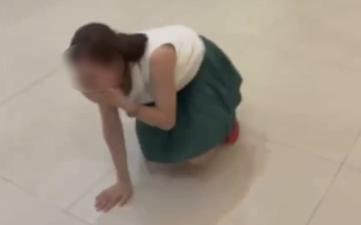 Đánh nhau vì tranh mua máy lạnh ở Pháp - Ảnh 4.