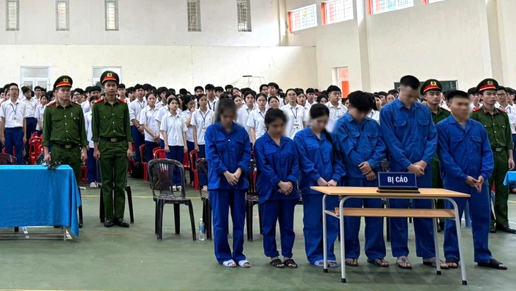 phút bốc đồng và cái giá phải trả - Ảnh 1.