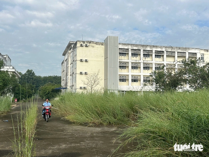Một năm 'hồi sinh' bệnh viện bỏ hoang thành nơi khám chữa bệnh tâm thần chuyên sâu - Ảnh 4.