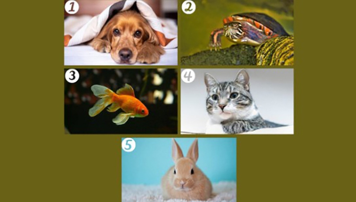 Quiz: Bạn tốt bụng hay là người sống theo nguyên tắc? - Ảnh 1.