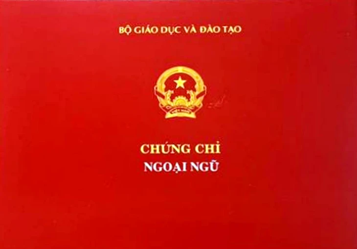 ‘Đòi’ chứng chỉ B2 giáo viên có bằng đại học, có theo ‘Luật con’? - Ảnh 1.
