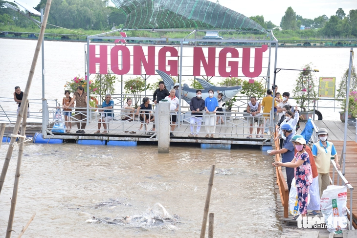 Khám phá cá tự nhiên sông Tiền Độc đáo tại Đồng Tháp năm 2026 - Ảnh 3.