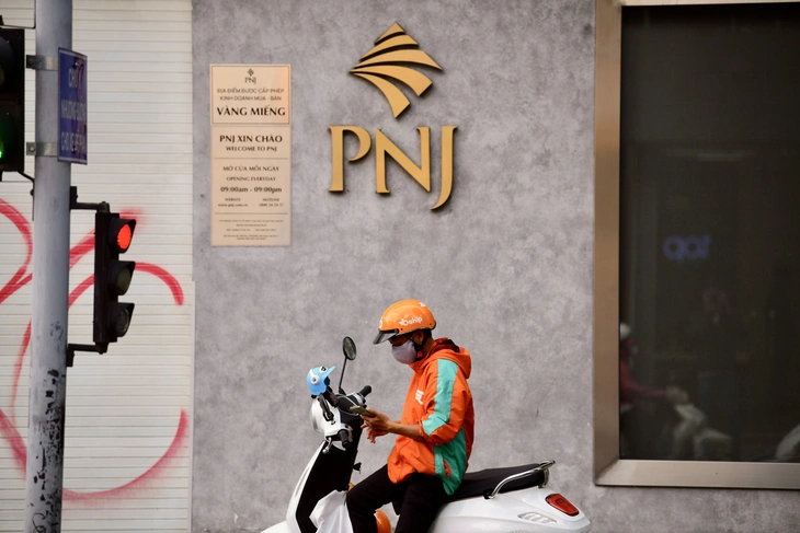 PNJ bổ nhiệm nhân sự phụ trách quản trị, không sở hữu cổ phiếu của PNJ - Ảnh 1.