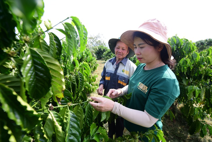 Dệt mạng lưới nông hộ, tạo chuỗi giá trị xuất khẩu khép kín - Ảnh 2.