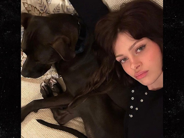 Cha vợ tỉ phú của Brooklyn Beckham bị kiện - Ảnh 2.