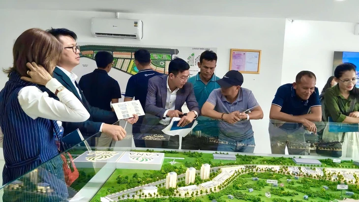 Mở bán Cà Ná New City - Ảnh 2.