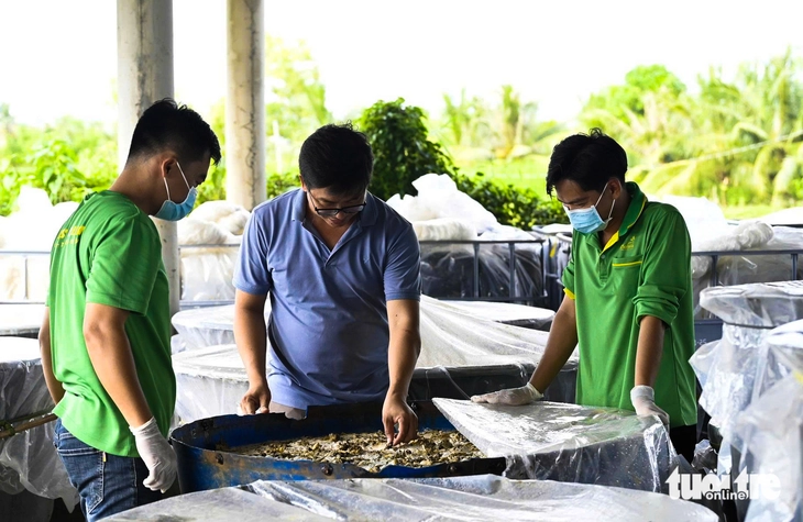 Xử lý rác thải nông thôn An Giang: Giải pháp hiệu quả từ người dân Vĩnh Phong - Ảnh 1.