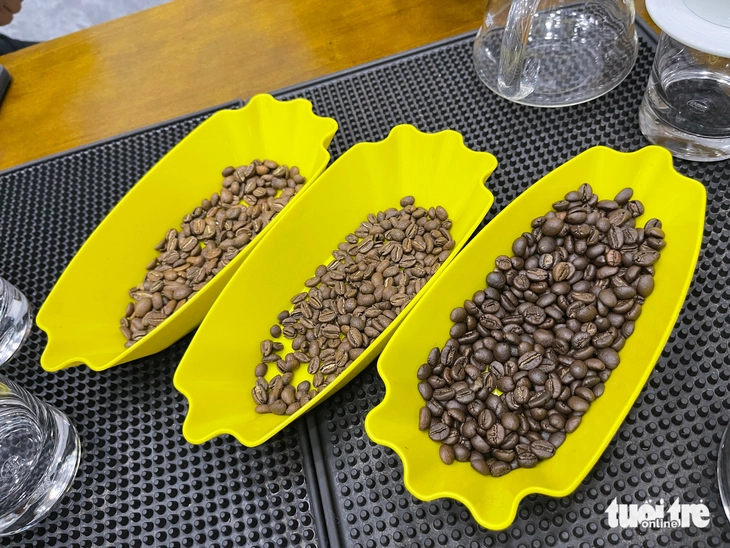  Từ phân khúc ngách thành lựa chọn của lối sống hiện đại - Ảnh 2.