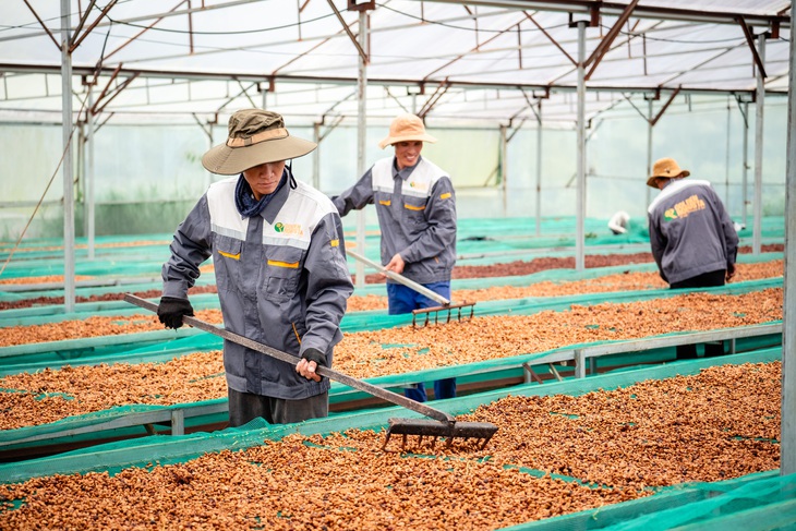 Dệt mạng lưới nông hộ, tạo chuỗi giá trị xuất khẩu khép kín - Ảnh 5.
