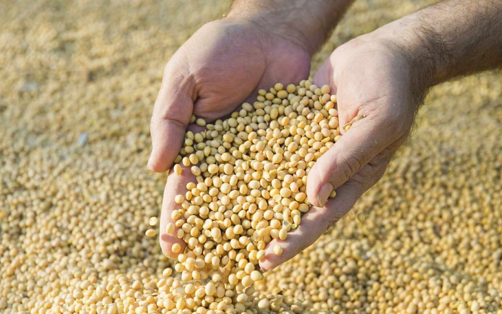 EU siết dư lượng thuốc bảo vệ thực vật, xuất khẩu nông sản, trái cây - Ảnh 2.