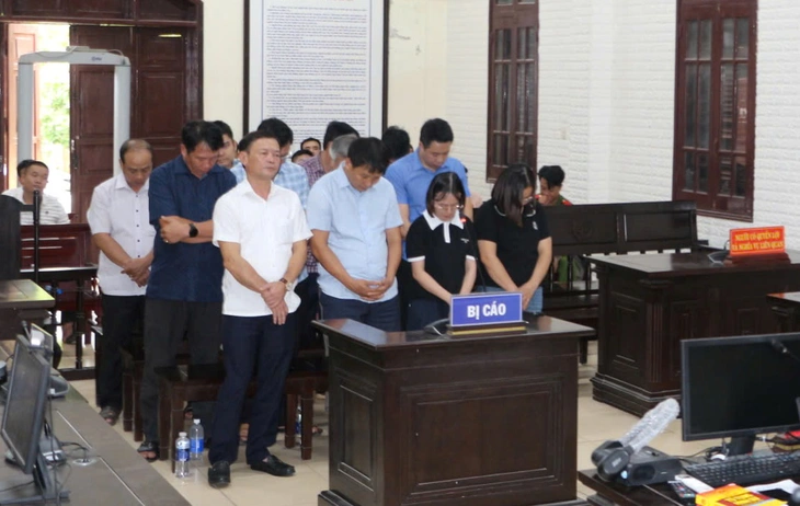 Nguyên Phó chủ tịch huyện cùng nhiều cán bộ cấp dưới lãnh án tù vì cấp đất sai - Ảnh 1.