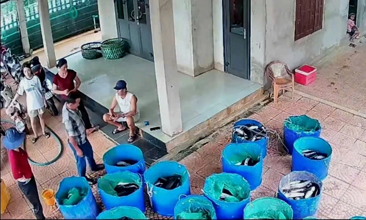 Hồ cá lóc hơn 3 tấn bị sét đánh trúng, bà con lối xóm xúm vào mua giúp khổ chủ - Ảnh 1.