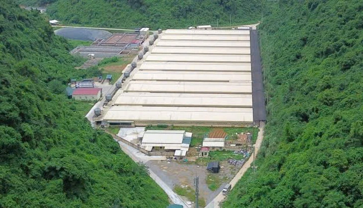 Khởi tố vụ tai nạn lao động ở trang trại lợn khiến 5 người tử vong - Ảnh 1.