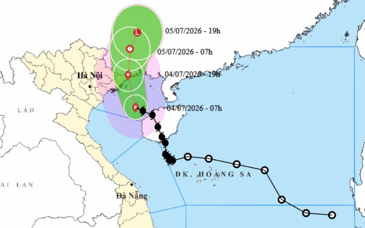 Móng Cái, Quảng Ninh gió mạnh dần lên, nhiều cây xanh đổ, mái tôn bị hất văng - Ảnh 4.