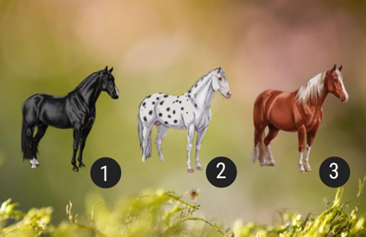 Quiz: Phẩm chất nổi bật nhất của bạn là gì? - Ảnh 1.