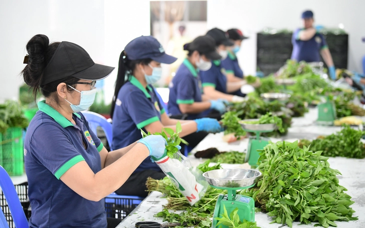 Khi nông nghiệp trở thành khát vọng của thế hệ mới - Ảnh 4.