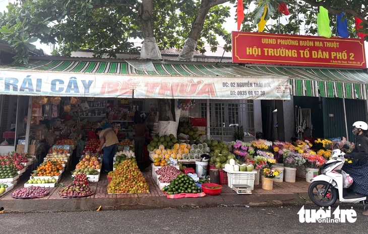 Hàng trăm 'trụ sở kim cương, đất vàng' ở Đắk Lắk bỏ hoang, lãng phí - Ảnh 3.
