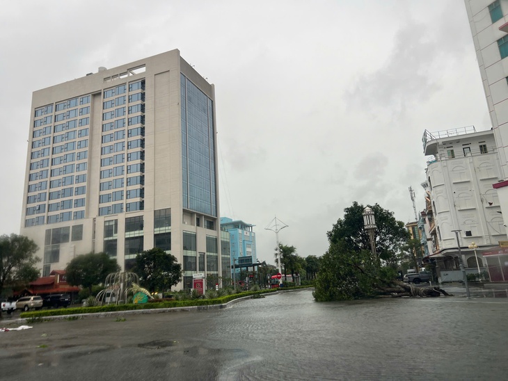 Bão số 1 quần thảo liên tục, hàng trăm cây xanh gãy đổ, hàng chục căn nhà tốc mái, người dân Móng Cái trắng đêm chống bão - Ảnh 9.