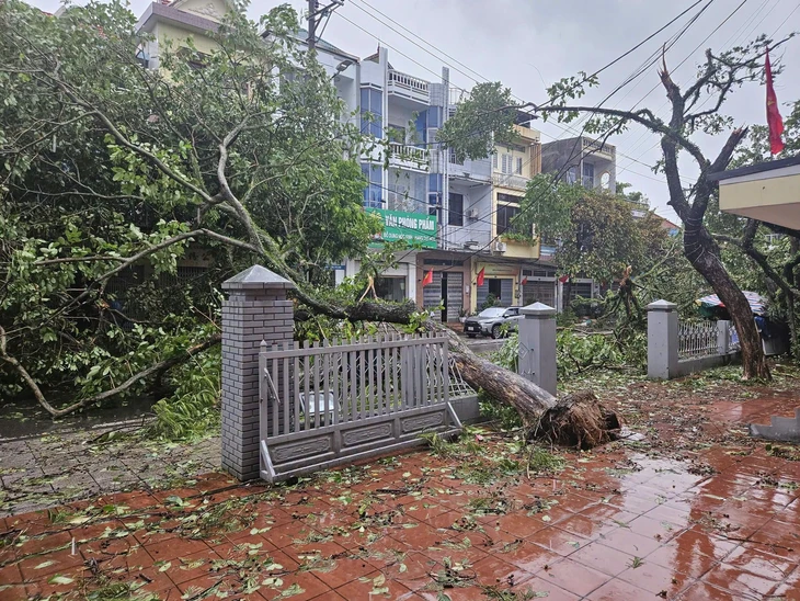 Vì sao bão số 1 không quá mạnh nhưng lại quần thảo Móng Cái từ chập tối đến rạng sáng - Ảnh 1.