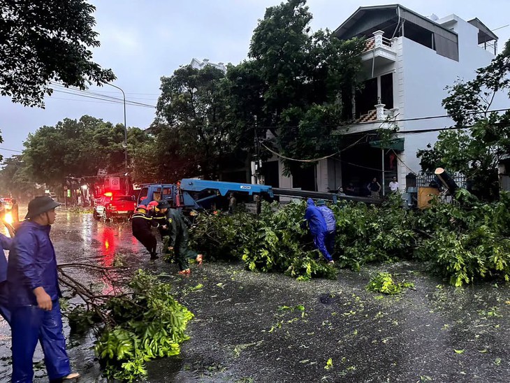 Bão số 1 quần thảo liên tục, hàng trăm cây xanh gãy đổ, hàng chục căn nhà tốc mái, người dân Móng Cái trắng đêm chống bão - Ảnh 1.