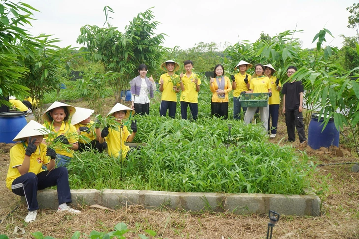 Vườn xanh cộng đồng tại TP . HCM biến rác thải thành nguồn thực phẩm sạch 2026 - Ảnh 4.