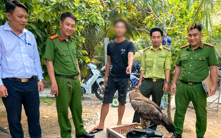 Chuyện cứu hộ động vật hoang dã: 'Cứu chữa' diều hoa Miến Điện, kỳ đà vân cụt chân - Ảnh 14.